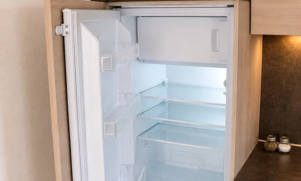 Ausstattung - Kühlschrank und Mikrowelle